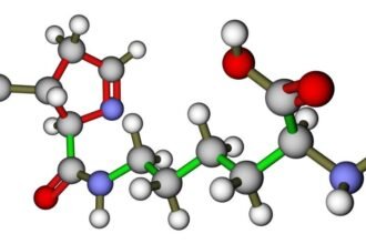Doctorhub360.com Amino Acids