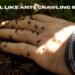 feel like ants crawling skin